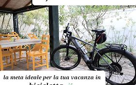 B&B La Jacaranda Affittacamere